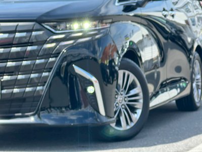 2024 TOYOTA ALPHARD 缩略图 48