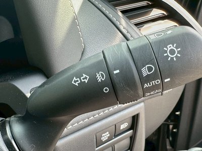 2024 TOYOTA ALPHARD 缩略图 19