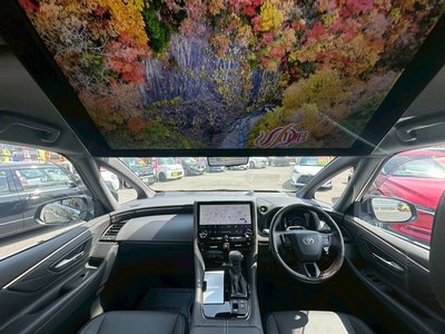 TOYOTA ALPHARD - 3