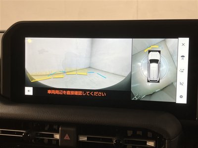TOYOTA LAND CRUISER 250 - 8