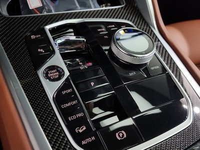 2024 BMW X6 — миниатюра 12