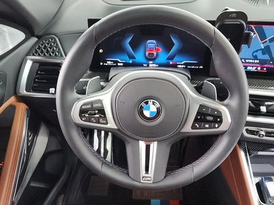 2024 BMW X6 — миниатюра 19