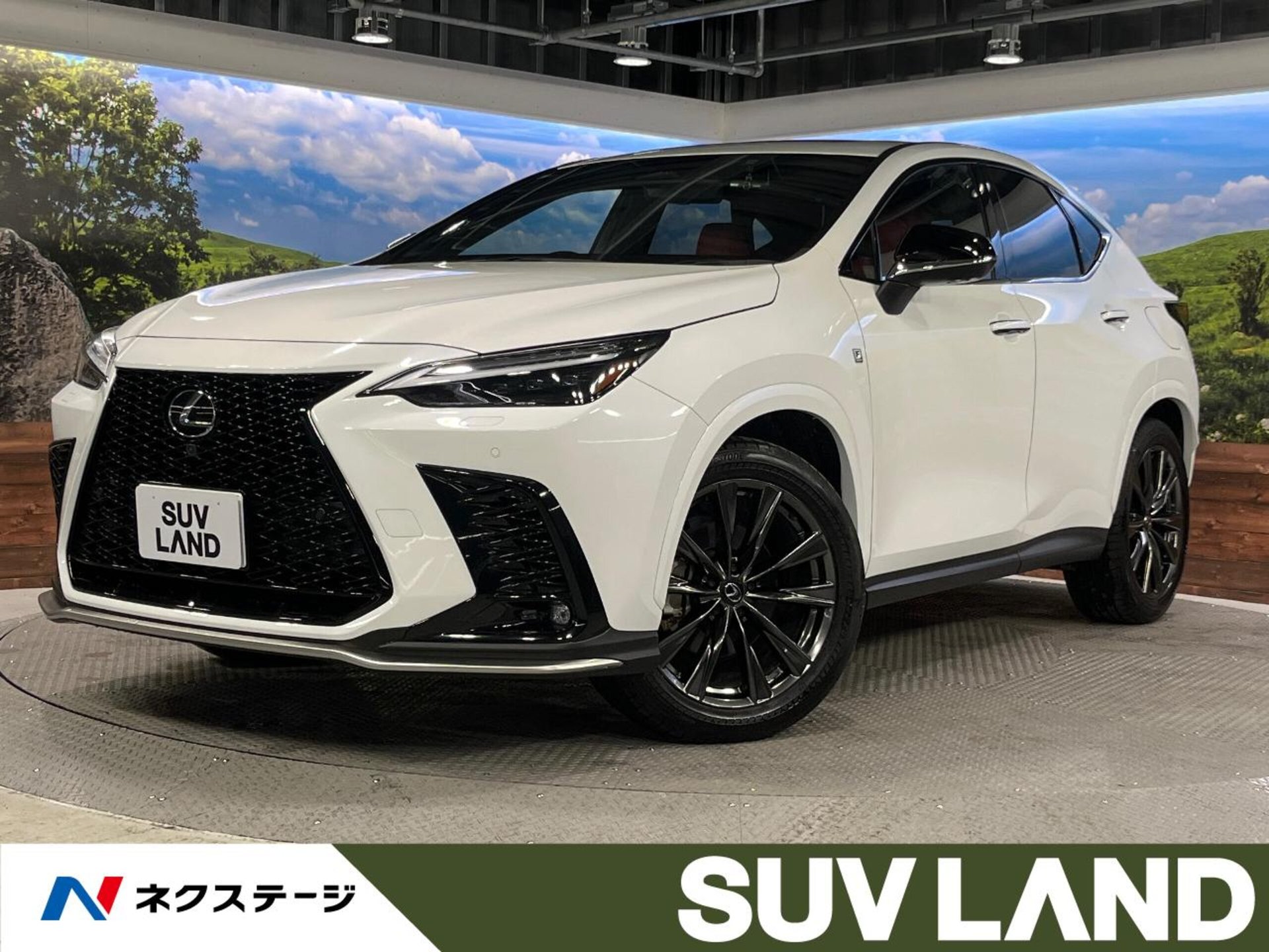 LEXUS NX - View 1