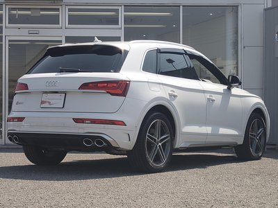 AUDI SQ5 - 9