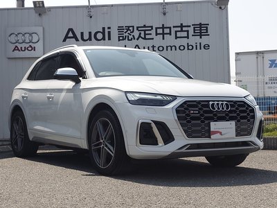 AUDI SQ5 - 7