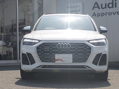 AUDI SQ5 - 6