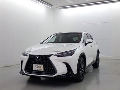 LEXUS NX - 1