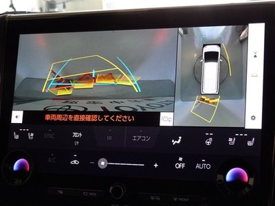 2025 TOYOTA ALPHARD photo 9