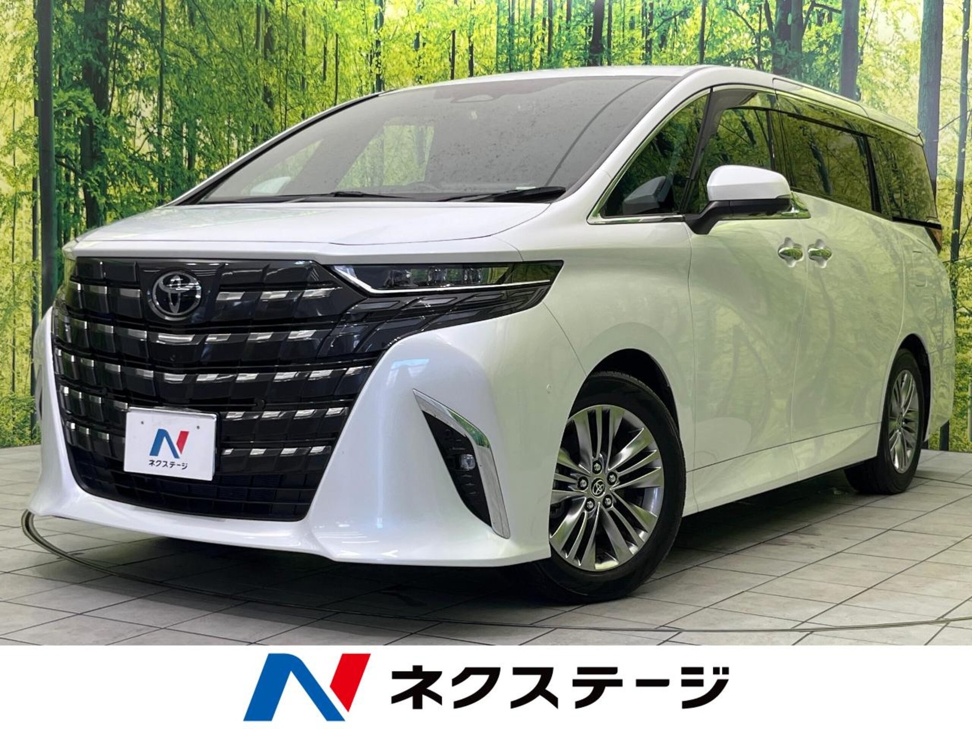 TOYOTA ALPHARD - View 1