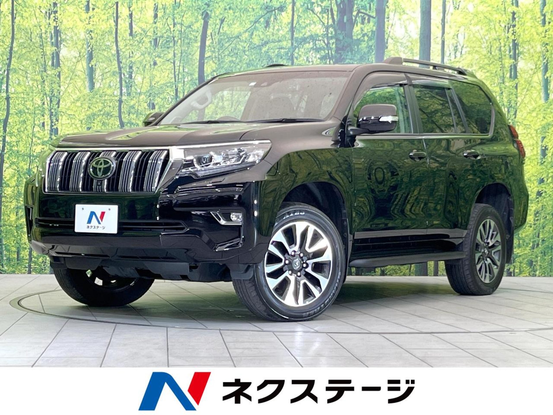 TOYOTA LAND CRUISER PRADO - View 1