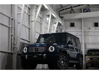 صورة مصغرة 64 لـ 2025 Mercedes-BENZ G-CLASS