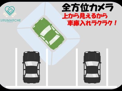 2024 Lexus RX — миниатюра 20