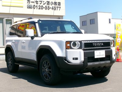 TOYOTA LAND CRUISER 250 - 3