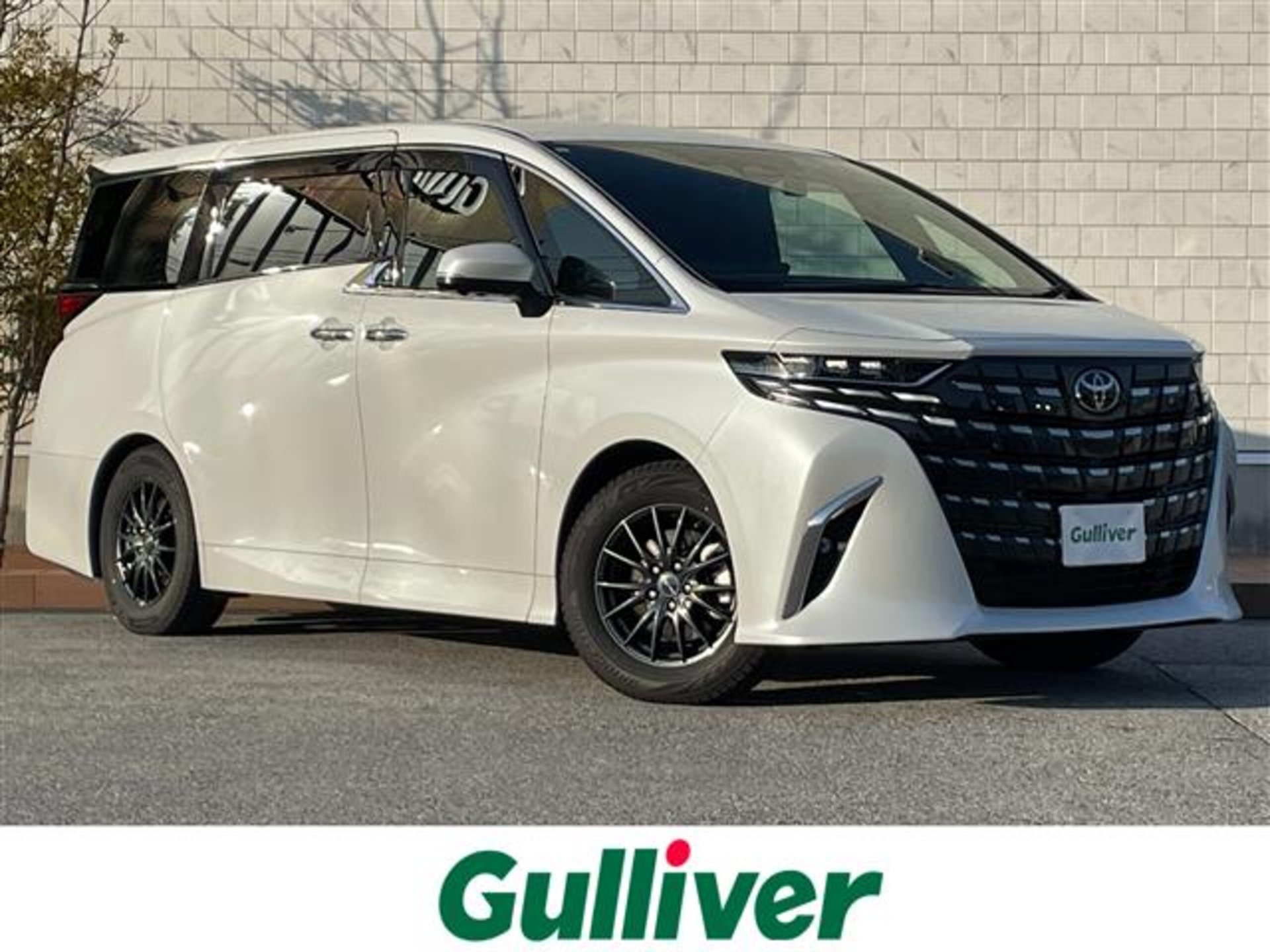 TOYOTA ALPHARD - View 1