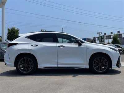 2024 Lexus NX 缩略图 30