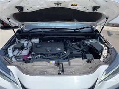 2024 Lexus NX 缩略图 42