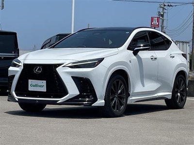 2024 Lexus NX 缩略图 25