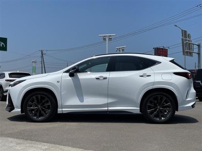2024 Lexus NX 缩略图 26