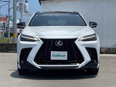 2024 Lexus NX 缩略图 24