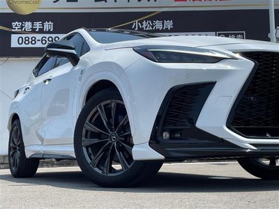 2024 Lexus NX 缩略图 41