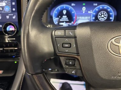 2024 Toyota ALPHARD 缩略图 31
