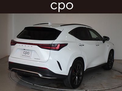 2022 Lexus NX 照片 8