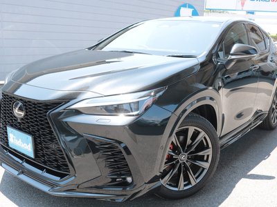صورة مصغرة 29 لـ 2023 Lexus NX