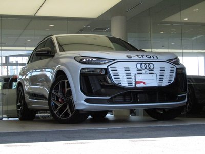 2026 AUDI SQ6 E-TRON 缩略图 32