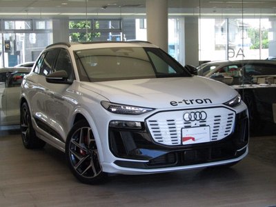 2026 AUDI SQ6 E-TRON 缩略图 30