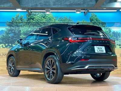 2023 Lexus NX 缩略图 27