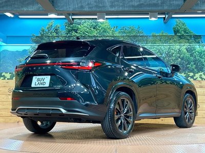 2023 Lexus NX 缩略图 18