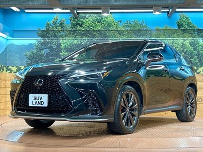 2023 Lexus NX 缩略图 25
