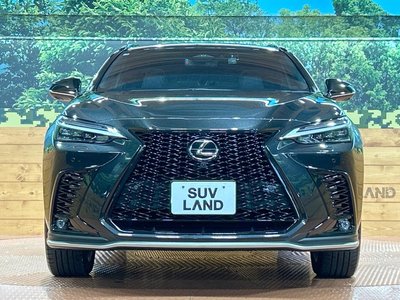 2023 Lexus NX 缩略图 15