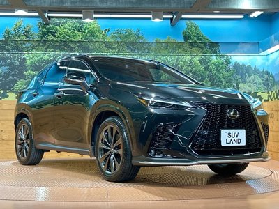 2023 Lexus NX 缩略图 17