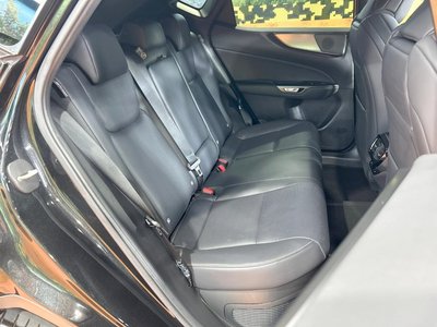 2023 Lexus NX 照片 10