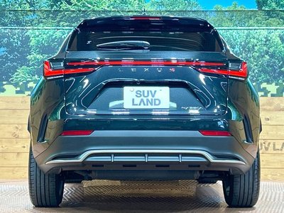 2023 Lexus NX 缩略图 16