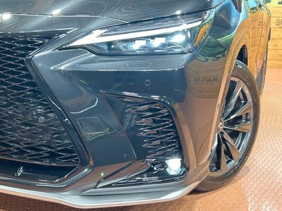 2023 Lexus NX 缩略图 13