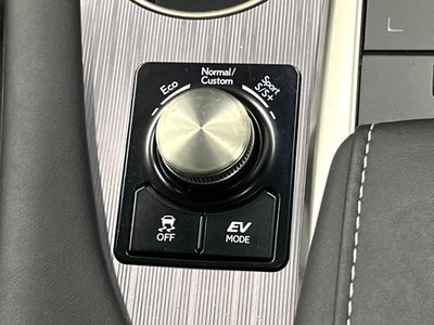 2021 Lexus RX thumbnail 39
