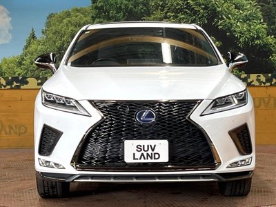 2021 Lexus RX thumbnail 14