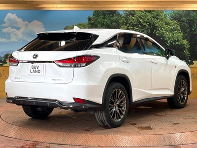 2021 Lexus RX thumbnail 17