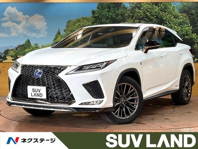 2021 Lexus RX 照片 1