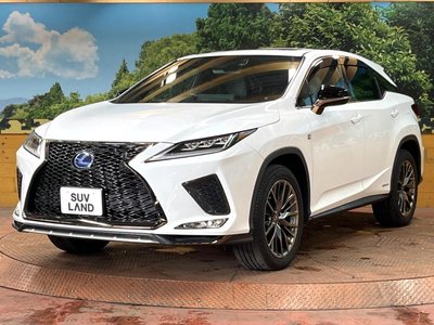 2021 Lexus RX thumbnail 63