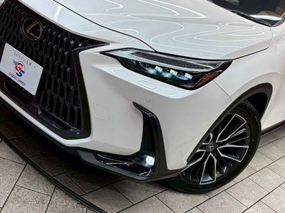 LEXUS NX - 10