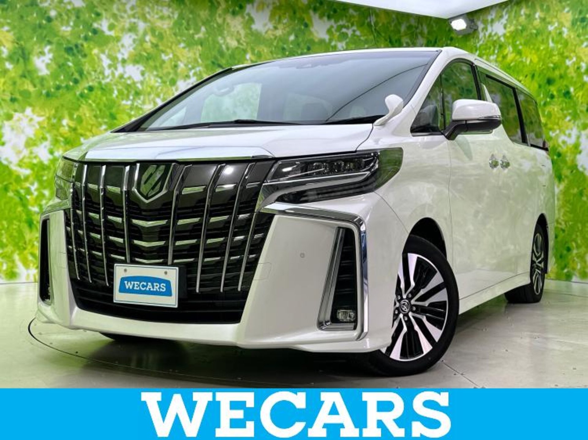 TOYOTA ALPHARD - View 1