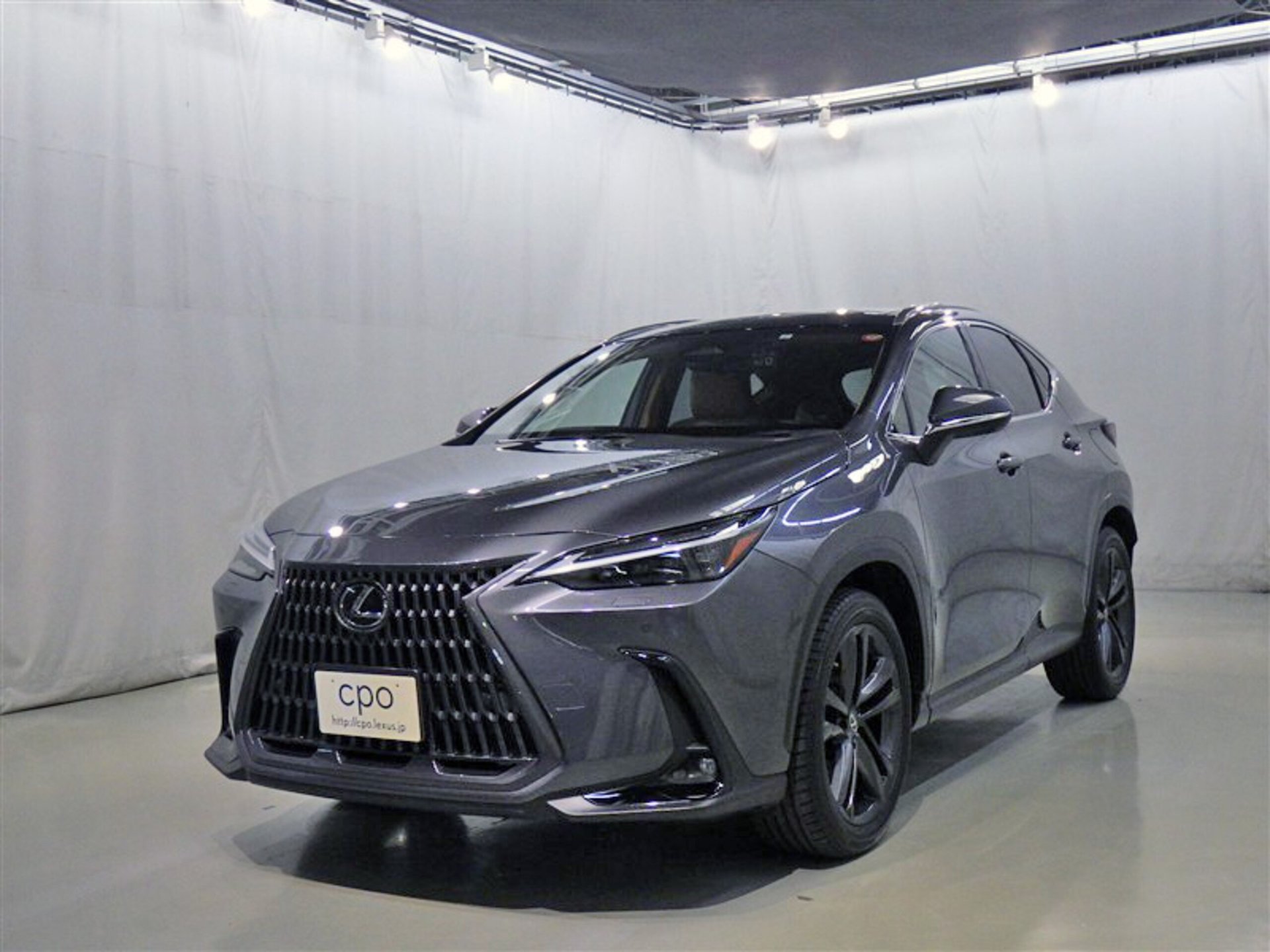 LEXUS NX - View 1