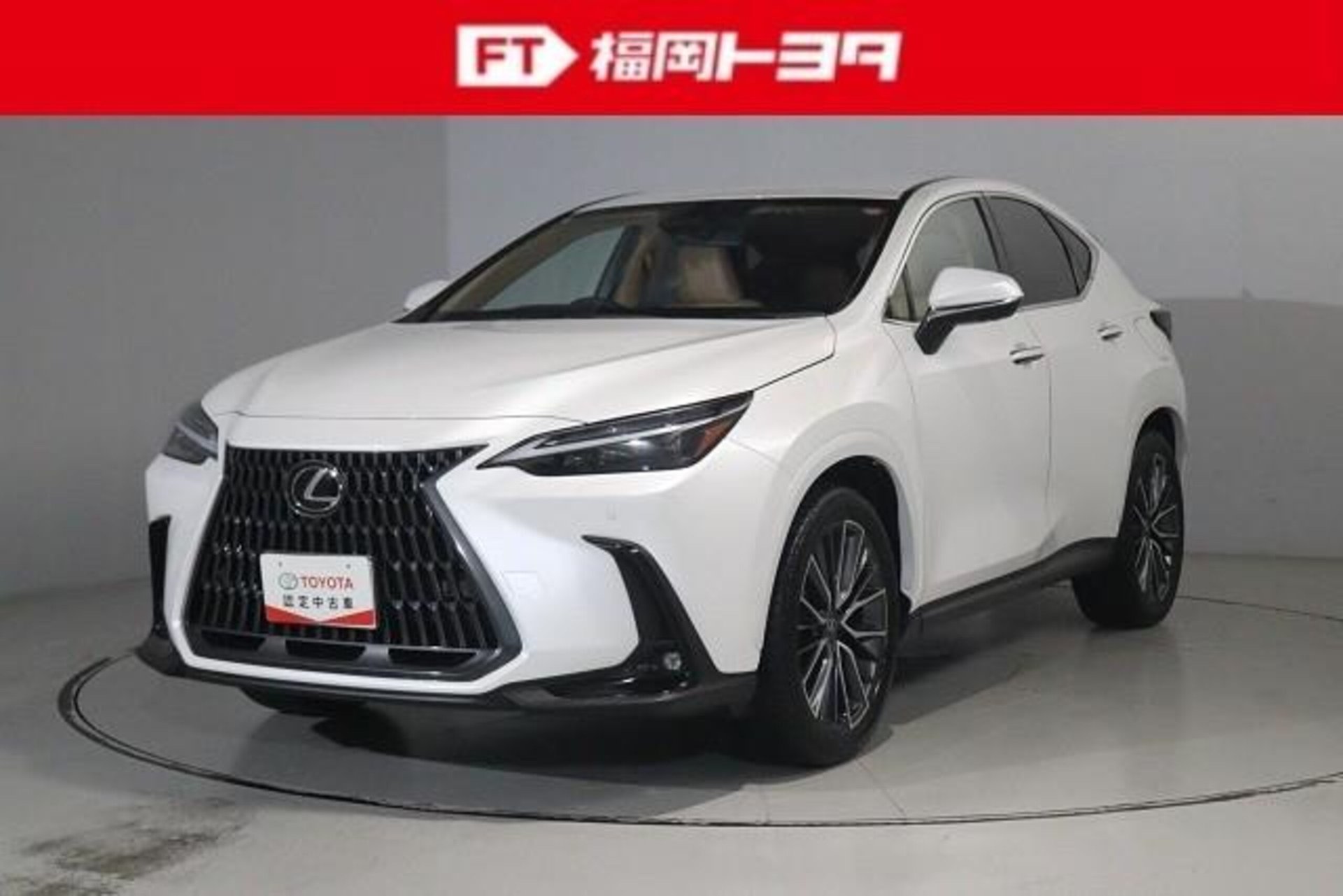 LEXUS NX - View 1