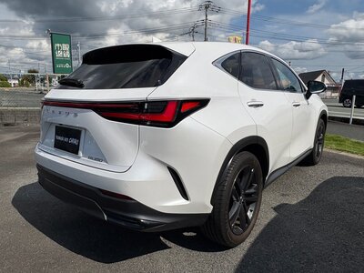 LEXUS NX - 9