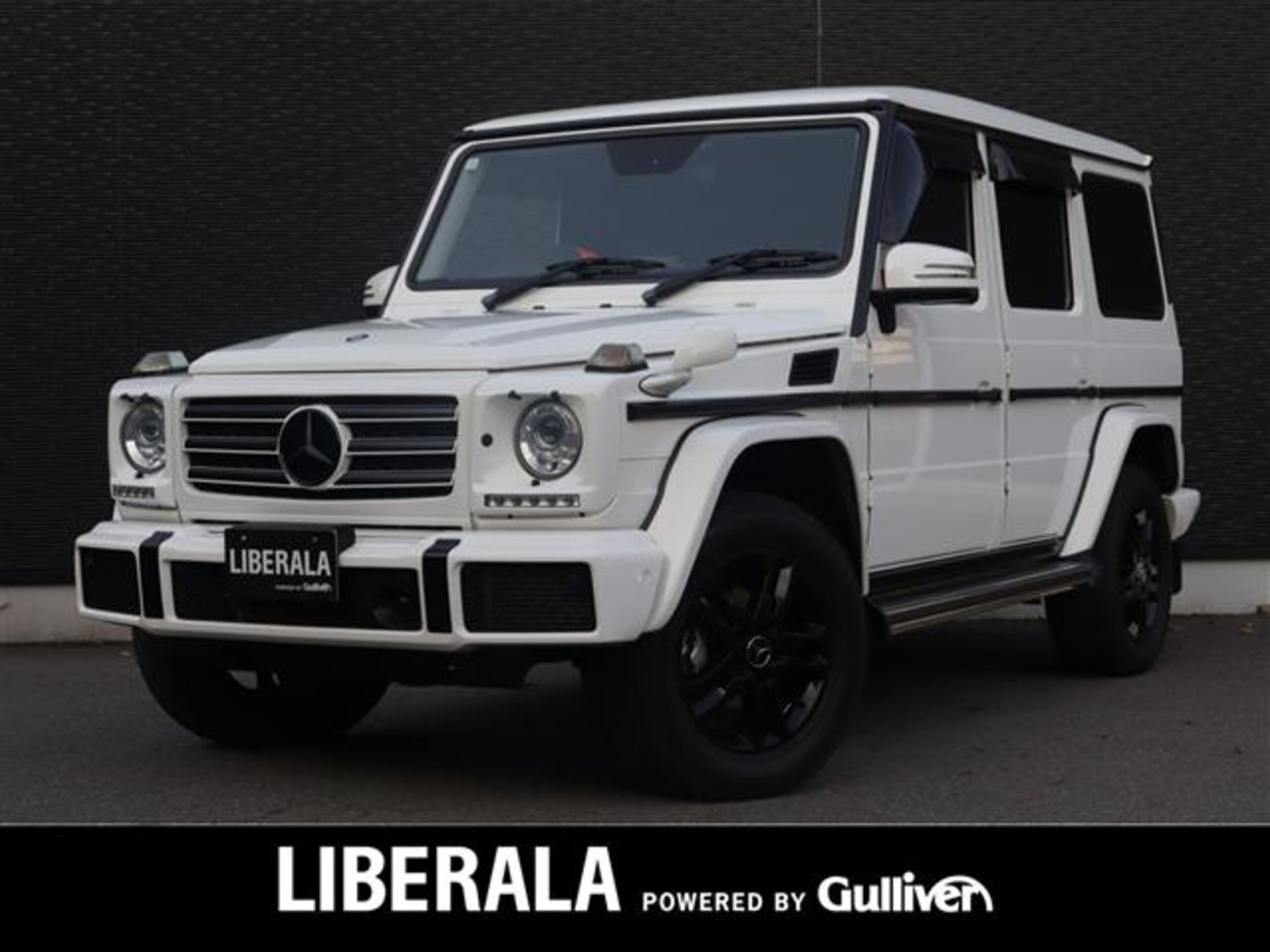 MERCEDES-BENZ G-CLASS - View 1
