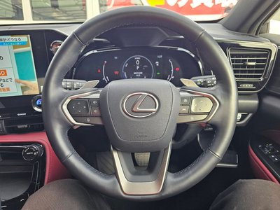 LEXUS NX - 6