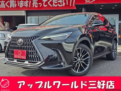 LEXUS NX - 1